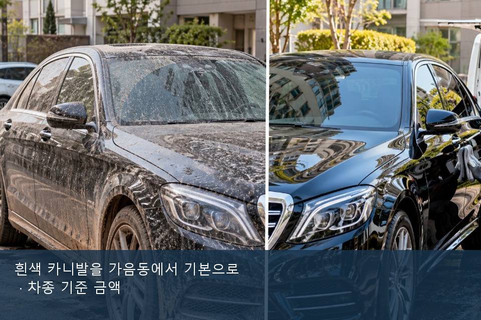 흰색 카니발을 가음동에서 기본으로 · 차종 기준 금액